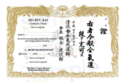 Uechi Ryu Custom certificate 11x14 