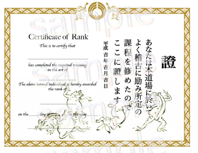 Generic Kids Certificates