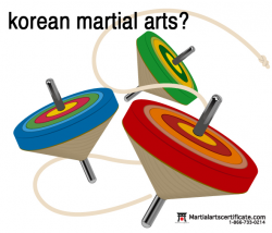 korean martial arts?