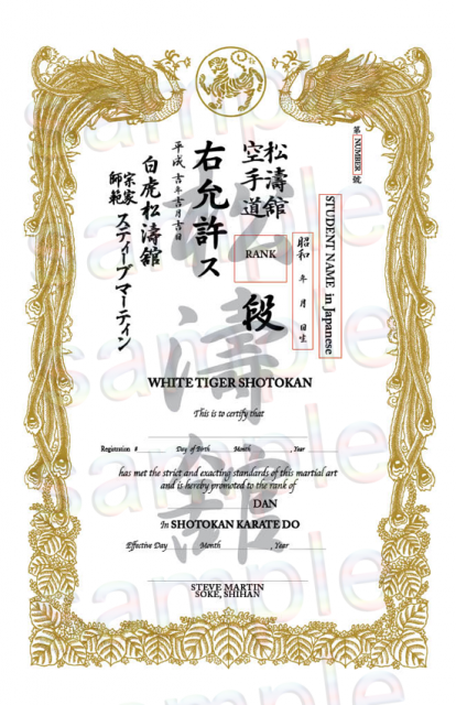 How to order Semi custom Tae Kwon Do certificate: It is showing optional Individual insertion space with blue square.  Rea seal image is additional option.