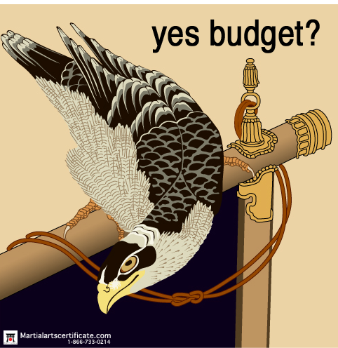 yas budget?