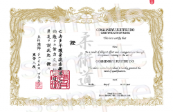 Semi custom certificate / Jujitsu E&J style B with Red seal images