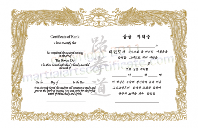 Generic Certificate for Korean Martial Arts