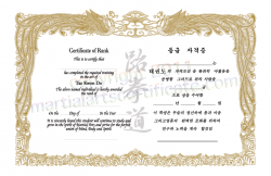 Generic Certificate for Korean Martial Arts